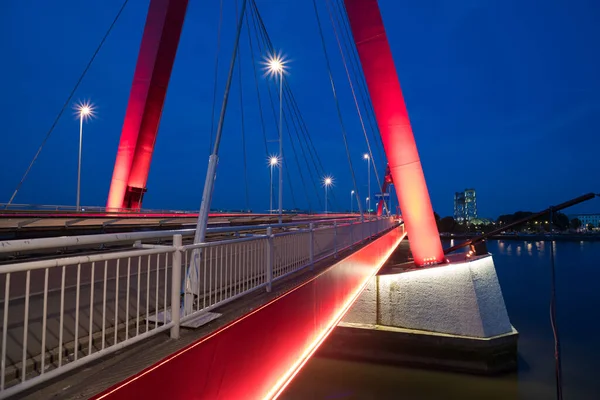 Verlichte Rode Pylonen Dek Van Willemsbrug Nieuwe Maas Bij Zonsondergang — Stockfoto