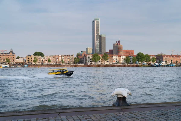 Rotterdam Junio 2019 Vista Sobre Río Maas Dirección Isla Norte — Foto de Stock