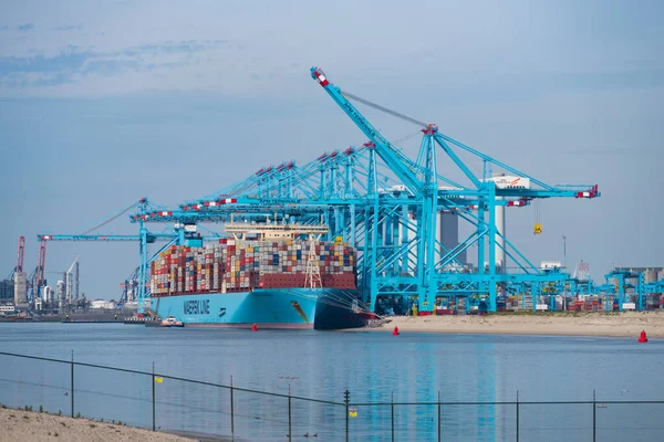 Rotterdam Juni 2019 Containerterminalen Maas Området Massiv Konstgjord Utbyggnad Västerut — Stockfoto