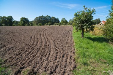 Hollanda 'nın kırsal kesiminde tarla sürmüş.
