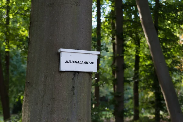 Wit Bord Met Juliana Avenue Vernoemd Naar Voormalige Nederlandse Koningin — Stockfoto