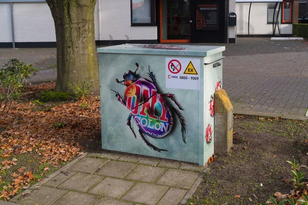 Oldenzaal Netherlands November 2019 Artistically Decorated Power Transformer Boxes Street — Stock Photo, Image