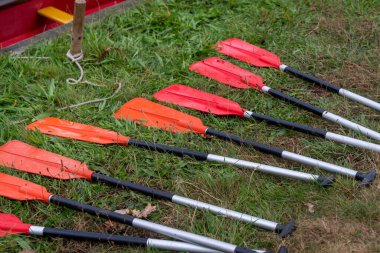 Ejderha teknesine ait kürekler Çin 'in Guangdong eyaletinin güneyindeki Pearl River Delta bölgesinden gelen insan gücüyle çalışan bir su gemisidir..