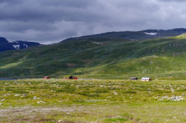 Güzel yeşil bir dağ manzarasında tipik Norveç evleri