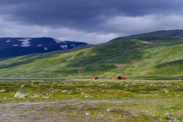 Typické Norské Domy Krásné Zelené Horské Krajině — Stock fotografie