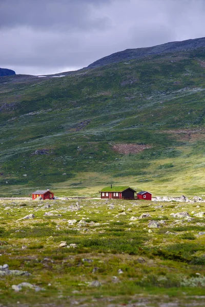 Güzel Yeşil Bir Dağ Manzarasında Tipik Norveç Evleri — Stok fotoğraf