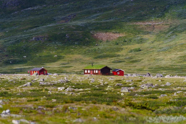 Typisch Norwegische Häuser Einer Wunderschönen Grünen Berglandschaft — Stockfoto