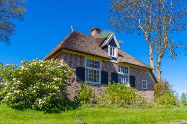 Hollanda Venedik olarak da bilinen ünlü Giethoorn köyünde saman çatısı olan tipik Hollandalı evleri