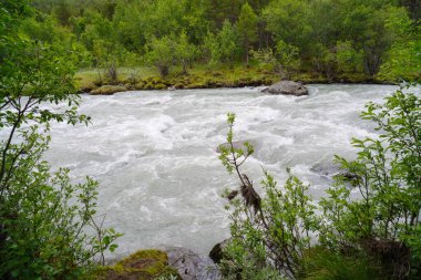 Norveç 'teki Jotunheimen Ulusal Parkı' nda akan erimiş su nehri.