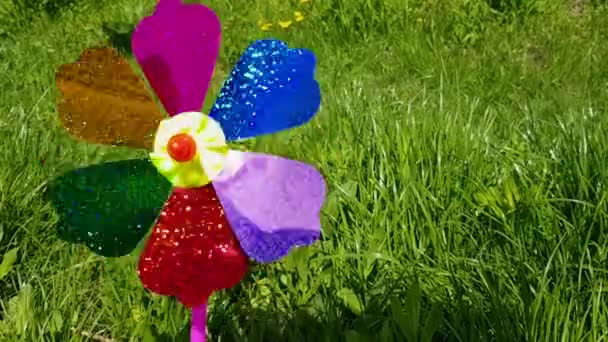 Дитячий вітряк на фоні зеленої трави. Дитячий барвистий вітряк — стокове відео