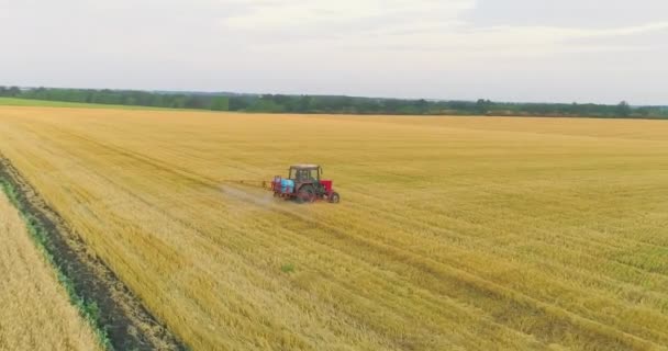 Ciągnik spryskuje pole pszenicy, widok z góry. Duży widok drona pola pszenicy. Ochrona pól przed szkodnikami — Wideo stockowe