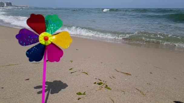 En barnväderkvarn i vinden, en färgad barnväderkvarn snurrar från vinden på stranden. Barnväderkvarn på havet — Stockvideo