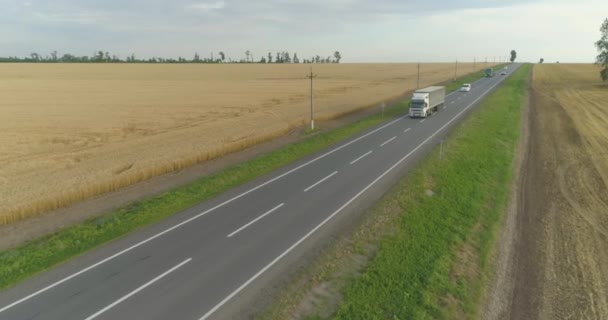 Campo di grano vicino alla vista aerea strada. Un'autostrada con auto accanto a un campo di grano colorato. Volare su un campo di grano vicino alla strada — Video Stock