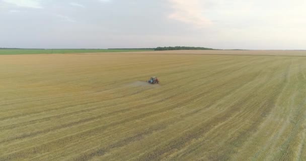 Ciągnik traktuje pole pszenicy pestycydami. Przetwarzanie pola pszenicy pestycydami. Widok z drona. — Wideo stockowe