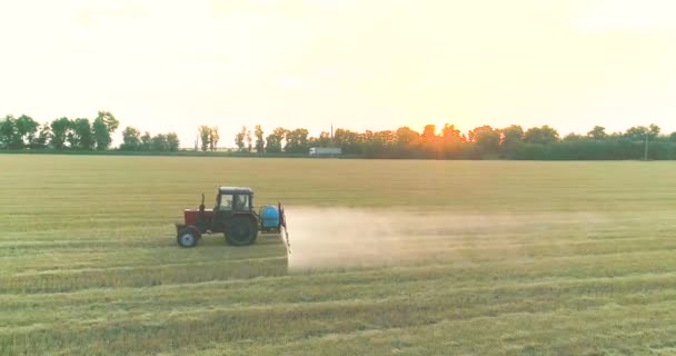 En traktor sprayer hvete med ugressmidler. Traktoren sprayer hveteåkrene. Sprøyter et felt med hveteutsikt fra en drone – stockvideo
