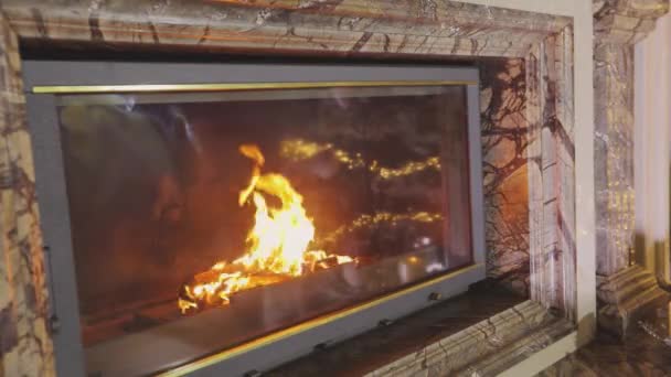 Fire in the fireplace. Firewood is burning in the fireplace. Beautiful fireplace with wood — Stock Video