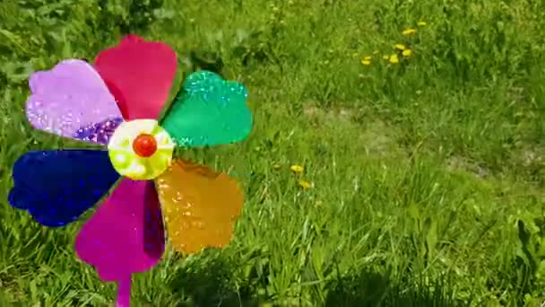 Moara de vânt pentru copii pe un fundal de iarbă verde. Moara de vânt colorată pentru copii — Videoclip de stoc