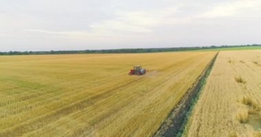 Buğday tarlalarına böcek ilacı sıkmak. Tarladaki zararlılara karşı buğdaylı koruma. Traktör buğday drone görüntüsünü püskürtür