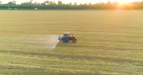 Protecting fields from pests. Large wheat field drone view. A tractor sprays a wheat field, a top view. — Stock Video
