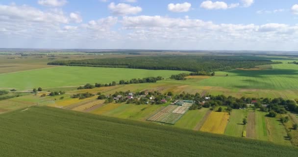 農業のトップビュー。きれいに整備された畑の上からの眺め。ファームトップビュー — ストック動画