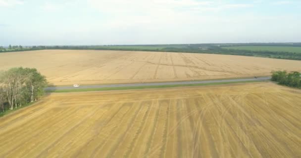 車のカラフルな小麦のフィールドの横に高速道路。道路の横にある小麦畑を飛んでいます。道路の空中風景の横にあるコムギ畑. — ストック動画