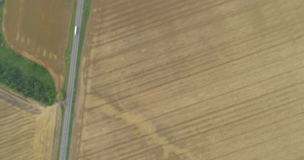 Шоссе с машинами рядом с красочным пшеничным полем. Летаю над пшеничным полем рядом с дорогой. Пшеничное поле рядом с дорожным видом с воздуха. — стоковое видео