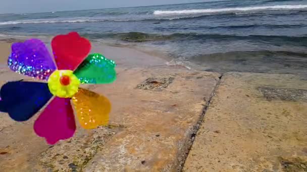 Een kinderwindmolen in de wind, een gekleurde kinderwindmolen draait uit de wind aan de kust. Kinderwindmolen op zee — Stockvideo