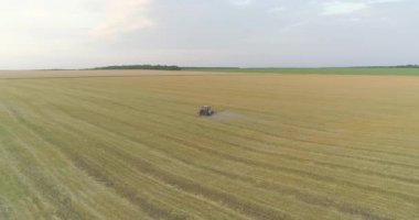 Büyük buğday tarlası drone görüntüsü. Bir traktör buğday tarlası püskürtür. Tarlaları zararlılardan korumak