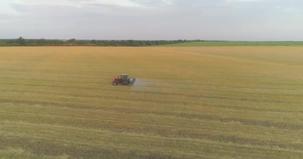 Pulverización de campos de trigo con pesticidas. Protección contra plagas del campo con trigo. Tractor pulveriza vista drone trigo — Vídeo de stock