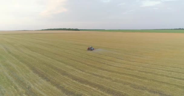 Große Weizenfeld-Drohnen-Ansicht. Ein Traktor besprüht ein Weizenfeld, ein Blick von oben. Felder vor Schädlingen schützen — Stockvideo