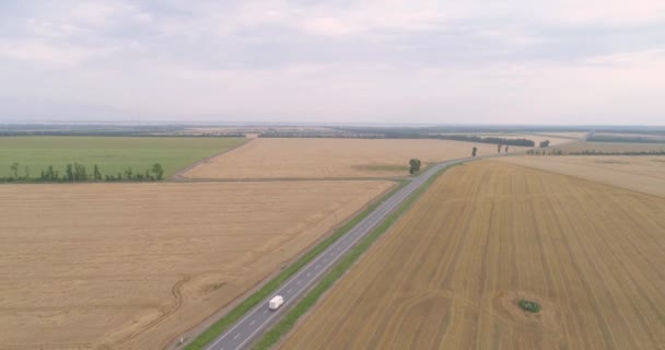 Tarweveld naast de weg vanuit de lucht. Een snelweg met auto 's naast een kleurrijk tarweveld. Vliegen over een tarweveld naast de weg — Stockvideo