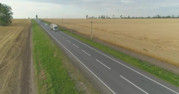 Pole Pszenicy Obok Widoku Lotu Ptaka Autostrada Samochodami Obok Kolorowego — Wideo stockowe