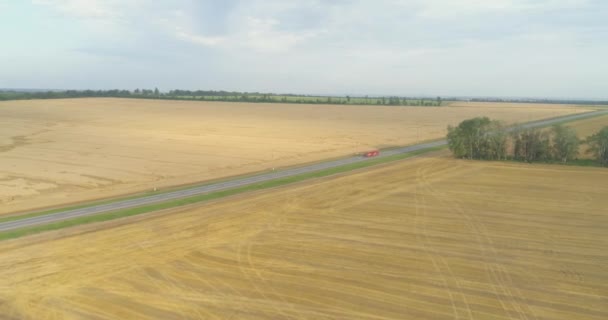 Un'autostrada con auto accanto a un campo di grano colorato. Sorvolando un campo di grano vicino alla strada. Campo di grano vicino alla strada vista aerea. — Video Stock