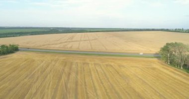 Renkli bir buğday tarlasının yanında arabaları olan bir otoyol. Yolun yanındaki buğday tarlasında uçuyor. Yol manzarasının yanındaki buğday tarlası..