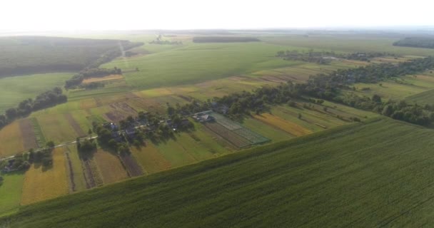 Flyga över en liten luft på landsbygden. Liten gård på landet vid solnedgången. Flygbild från jordbruket. Gård från luften — Stockvideo