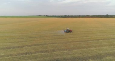 Büyük buğday tarlası drone görüntüsü. Bir traktör buğday tarlası püskürtür. Tarlaları zararlılardan korumak