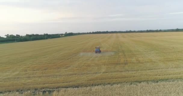 Ein Traktor besprüht ein Weizenfeld, ein Blick von oben. Große Weizenfeld-Drohnen-Ansicht. Felder vor Schädlingen schützen — Stockvideo