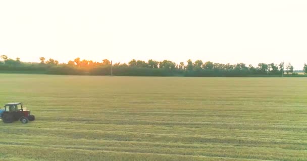 Verwerking van een tarweveld met pesticiden. Zicht van een drone. Tractor behandelt tarweveld met pesticiden — Stockvideo