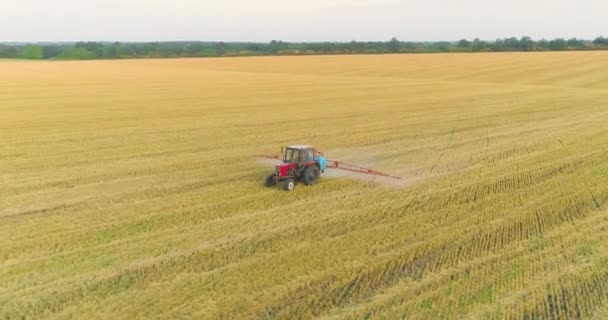 Ciągnik traktuje pole pszenicy pestycydami. Przetwarzanie pola pszenicy pestycydami. Widok z drona. — Wideo stockowe