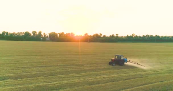 Een tractor besproeit tarwe met herbiciden. De trekker besproeit de tarwevelden. Een veld besproeien met uitzicht op tarwe van een drone — Stockvideo