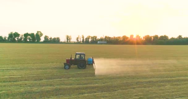 A traktor búzát permetez drónra. Búzamezőket permetezni rovarirtókkal. A szántóföldi kártevők elleni védelem búzával. — Stock videók