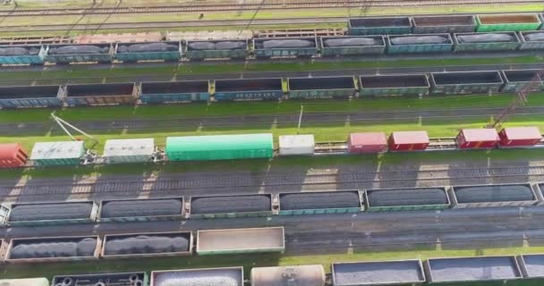 Treinen staan geparkeerd bij het depot bij de spoorwegkruising. Veel gekleurde treinen. Groot industrieel spoorwegdepot. — Stockvideo