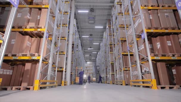 Arbeiter in einem großen Industrielager, Arbeit im Unternehmenslager — Stockvideo