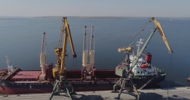 A daruk berakodnak egy száraz teherhajót. A munka a nagy kikötői daruk — Stock videók
