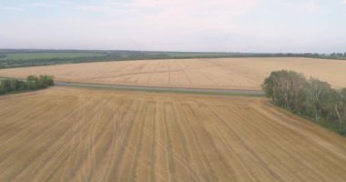 Yol anteninin yanındaki buğday tarlasında. Renkli bir buğday tarlasının yanında arabaları olan bir otoyol. Yolun yanındaki buğday tarlasında uçarken
