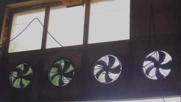 Ventilation in production, larger fans for ventilation of industrial premises — Stock Video