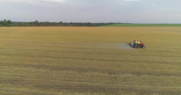 Traktör buğday drone görüntüsü püskürtür. Buğday tarlalarına böcek ilacı sıkmak. Tarla zararlılarına karşı buğdaylı koruma. — Stok video