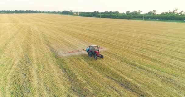 Pulverizando um campo com vista de trigo de um drone. Um trator pulveriza trigo com herbicidas. O trator pulveriza os campos de trigo. — Vídeo de Stock