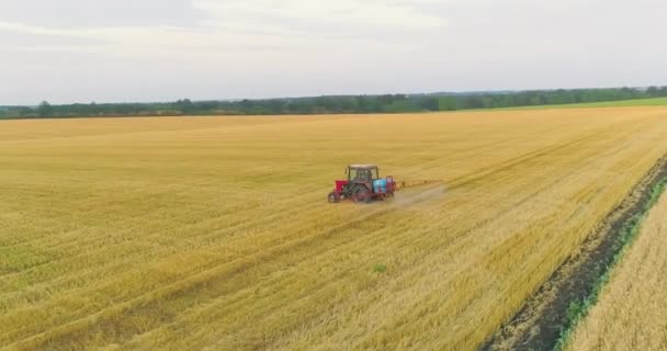 Um trator pulveriza trigo com herbicidas. O trator pulveriza os campos de trigo. Pulverizando um campo com vista de trigo de um drone — Vídeo de Stock