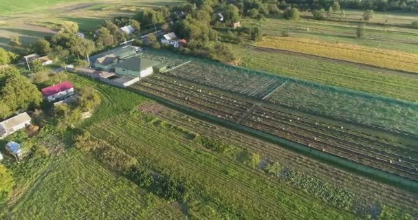 Hermosos campos bien arreglados vista superior. Campos agrícolas vista aérea. Vista superior de la granja. Agricultura vista superior. — Vídeos de Stock